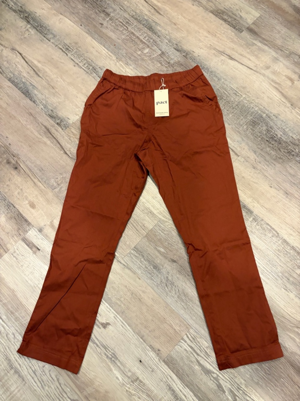 Pact Women's Chinos in Rust